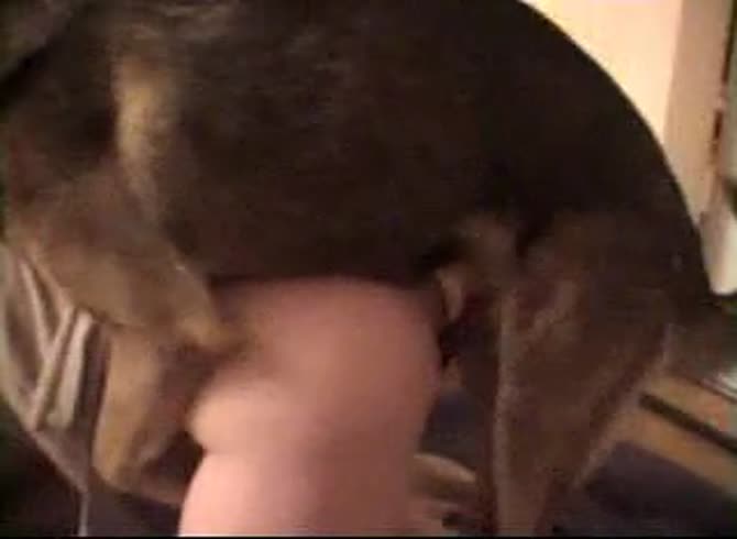 Video :Dog fucking a big ass babe in hot dog anal sex